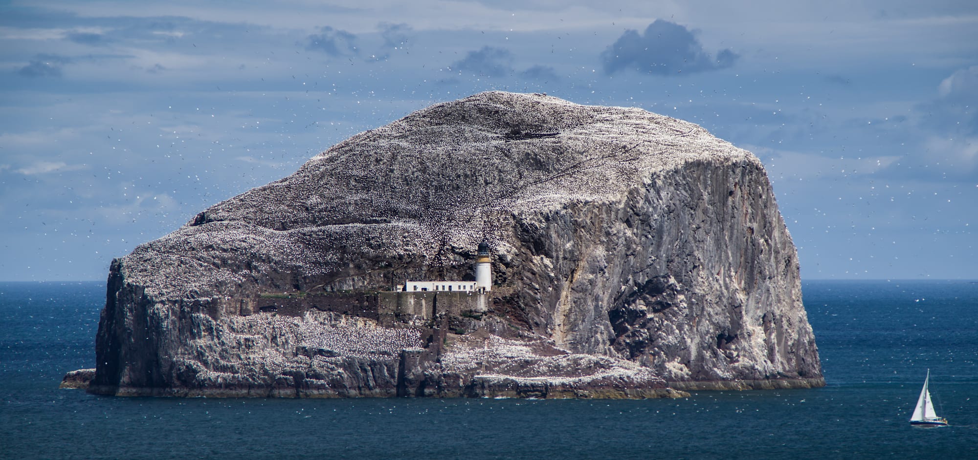 Bass Rock, off North Berwick – the gannet colony and its lighthouse