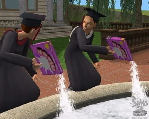 Wonkhe sims 2 university