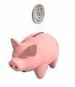 Wonkhe Pig in a poke