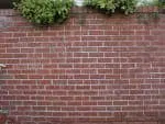 wonkhe Brick wall