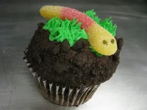 wonkhe cake worm