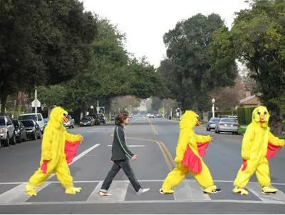 Wonkhe Chicken suit crossing