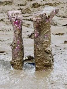Wonkhe Stuck in the mud