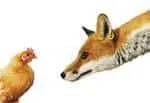 Wonkhe Fox and hen