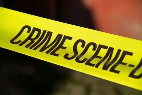 Wonkhe Crime Scene