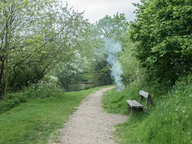 Smoke was in fact without fire on this occasion 