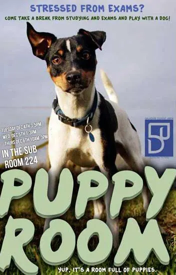 puppy-room1